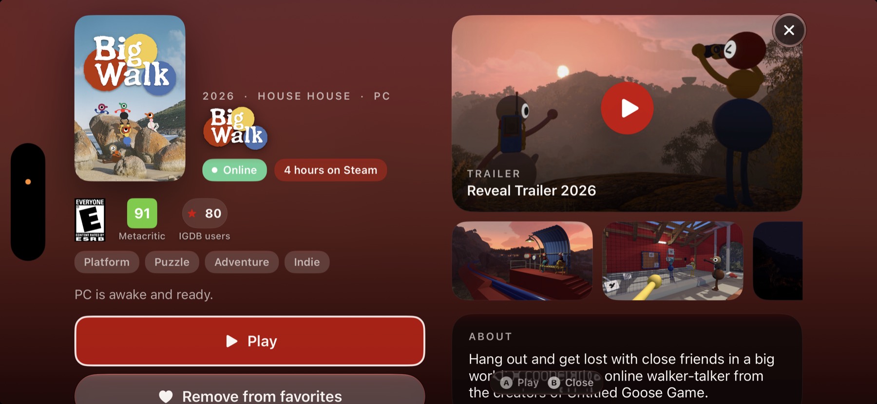 Game detail. The PC is Online and Play is the main button.